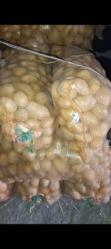 форсе набор: Картошка Пикассо, Оптом — 1