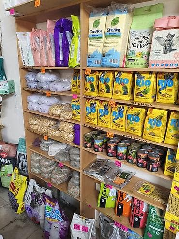 Зоотовары: Зоотовары для собак и кошек — большой выбор в одном месте Оформляем — 7