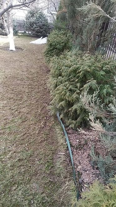 Другие услуги: Уборка территории, Уборка двора и сада — 3