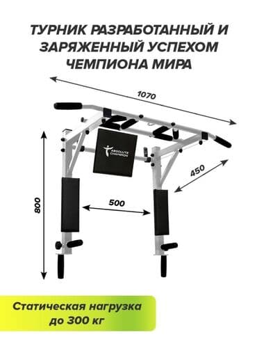 турник домашний настенный: Турник, 3 в 1, Настенный, Новый, Самовывоз, Платная доставка — 1