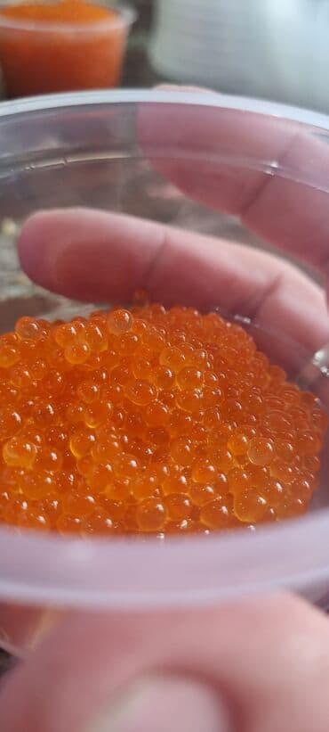 икра ястык: Жаңы кармалган, 10 кг ашык — 2