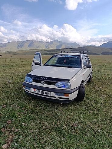 Volkswagen Golf: 1993 г., 1.6 л, Механика, Бензин, Хэтчбэк