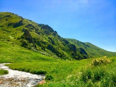 кумыс с медом бишкек: Inst : Talas_honey Все о медосборе. Мёд — 3