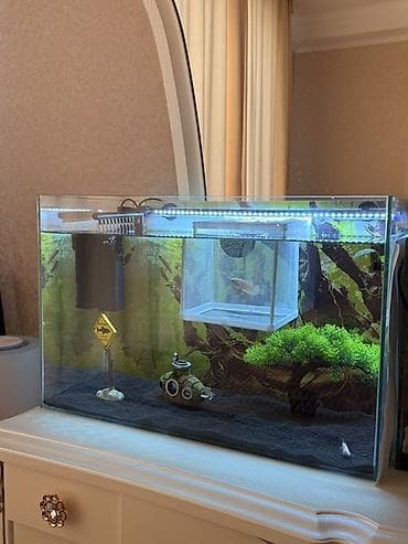 Аквариумы: Продам два аквариума в идеальном состоянии! 🐠 Продаю в связи с — 2