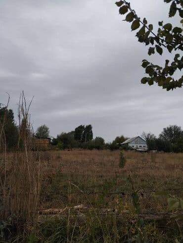 купить участок в бишкеке недорого: 8 соток, Для бизнеса, Красная книга — 6