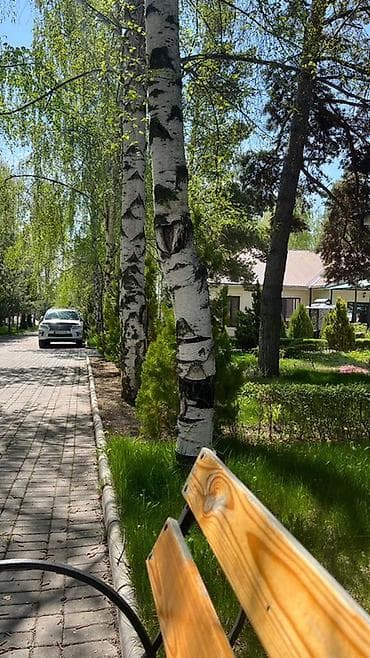 продажа земельный участок: Продаётся уютный коттедж-гостевой дом (озера Иссык-Куль село Кожояр) — 3