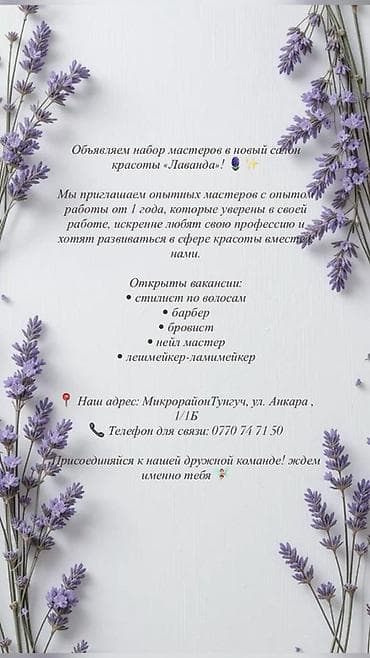 все для бровей: Салон красоты «Лаванда» объявляет набор мастеров. Ищем специалистов с — 1