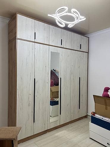 шефлера: Шифоньер, шкаф для одежды, Новый, Прямой, ЛДСП — 5