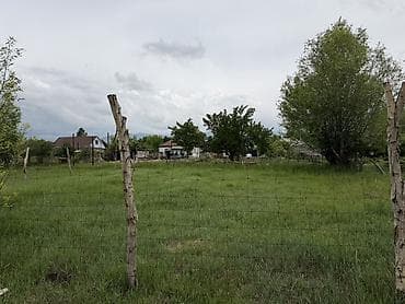 104 с: 4 соток, Для строительства, Красная книга — 2