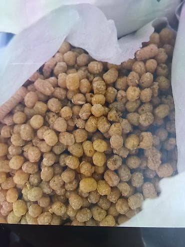 пет бутылка: Продам конистру 20 литров.Цена 1шт по 100 сом.Прочная пластиковая — 5
