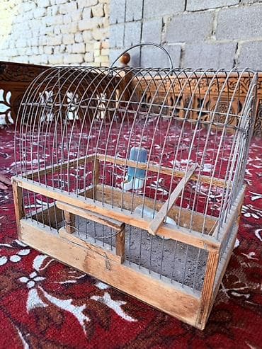 Кошки: Клетка для птиц с деревянным основанием и металлическими прутьями - — 1