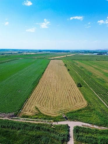 Земельные участки: 600 соток, Красная книга, Договор купли-продажи — 1