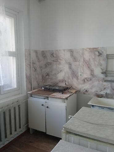 1room flat: 1 комната, Без подселения, С мебелью частично — 4