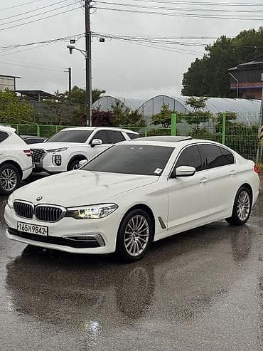 BMW 5 series: 2019 г., 2 л, Бензин