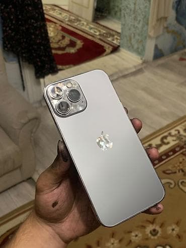 IPhone 13 Pro, Новый, 128 ГБ, Серебристый, Чехол, 100 %