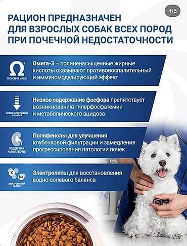 Животные: Monge VetSolution Renal and Oxalate Canine, (осталось 11 кг из 12)— — 4