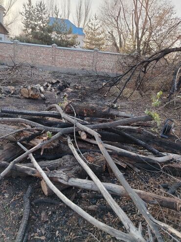 Садовые инструменты и инвентарь: Дрова — 4