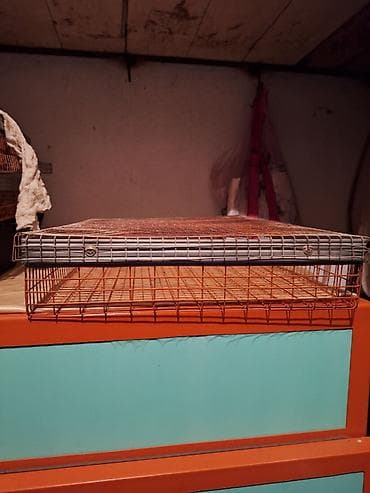 клетка для птицы: Продам инкубатор на 352яиц,в отличном состоянии,при нём 4лотка для — 2