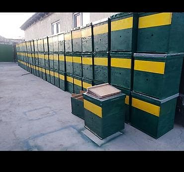 пасек: Ящик — 2