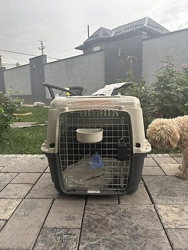 d cat: Переноска/бокс для животных (собака/кошка), авиа- и автоперевозки - — 2