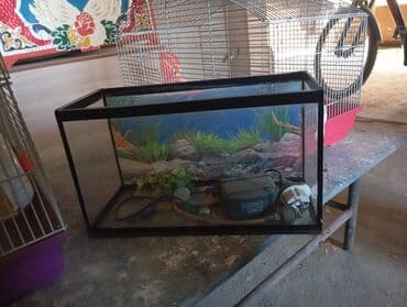 ошейники для кошек: Набор для домашних питомцев: клетки и аквариум - Клетка для грызунов — 5