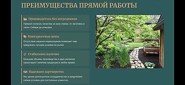 опилку: Прямые поставки декоративной коры сосны и лиственницы Регион — 4