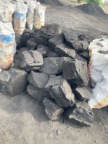 опрыскиватель садовый бишкек: Coal briquettes Акылуу жеткирүү, Өзү алып кетүү, Акысыз жеткирүү — 1