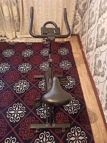 Велотренажёр (спин-байк) для дома - Тип: механический/магнитный