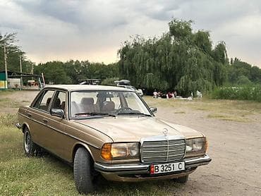1 g fe: Mercedes-Benz W123: 1981 г., 2.8 л, Механика, Бензин, Седан — 2