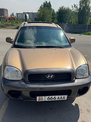 Продажа авто: Hyundai Santa Fe: 2003 г., 2.7 л, Автомат, Газ, Внедорожник — 6