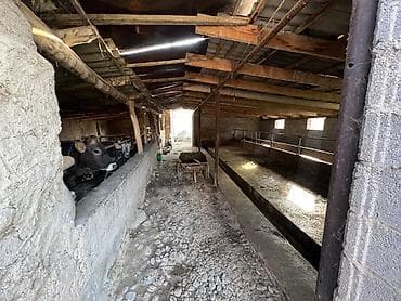 морской контейнер 40 тон: Продаю Дом Адрес: Сокулуксий район село Чат-Кель В общим иметься 16 — 10
