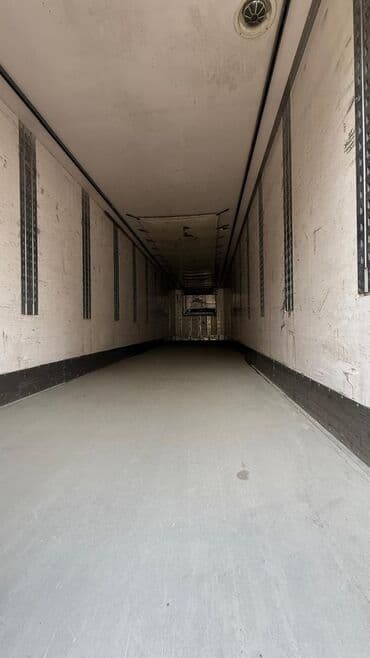 vw t4: Прицеп, Холодильник, рефрижератор, Б/у — 3