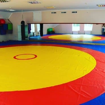 Олимпийский ковёр покрыто Мата Татами борсовский мат Татами для жудо