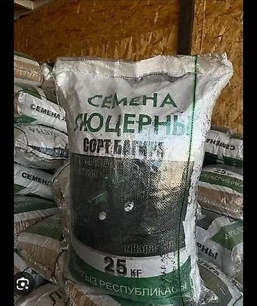 Кара беде. Люцерна. Багира.Ыссык кол район село Кашат