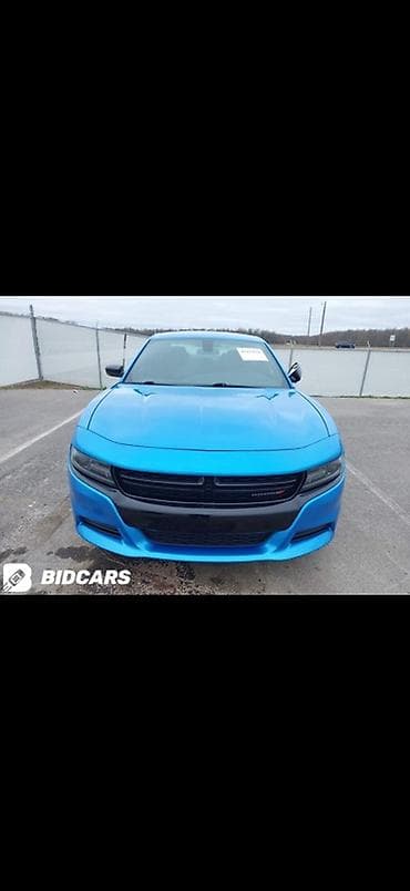 start line champion: Dodge Challenger: 2019 г., 3.6 л, Автомат, Бензин, Седан — 7