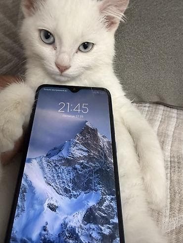 samsung j1 6: Redmi, Redmi 8, цвет - Синий, 2 SIM — 1