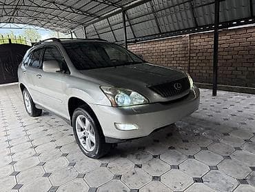 Lexus: Lexus RX: 2004 г., 3.3 л, Автомат, Бензин, Кроссовер — 6