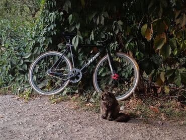 Велосипеддер: Фикс Ахе спритс 2(Нью ген) состояние 9/10 покрышки новыевсе — 1