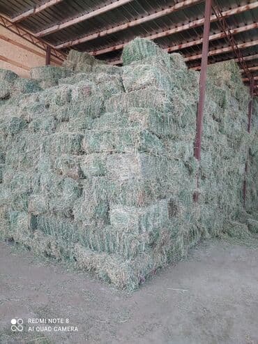 купить измельчитель травы и сена: Продаю тюки чистый клевер второй и третий кос без доставки с места — 1