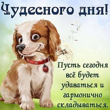 тандырный печка: Здравствуйте!!!Ищу работу,можно посудомойщицей.Можно на птицефабрику — 1
