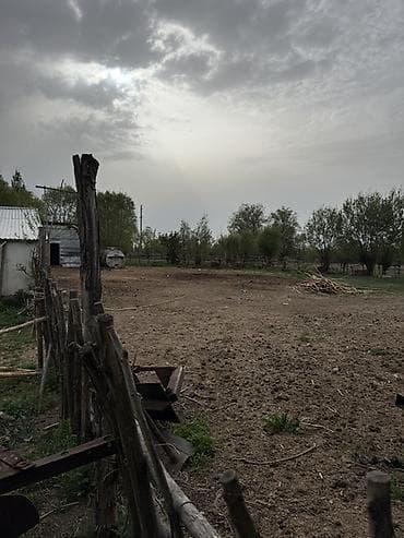 участок карпинка: Продаётся участок с хоз двором в городе Каракол, улица Масанчы, свет — 9