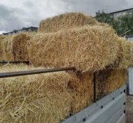 флипчарты 65 х 100 см лаковые: Ассаляму~Алейкум🤝 Продаю Солому. Очень хорошем состоянии. Свежая — 1