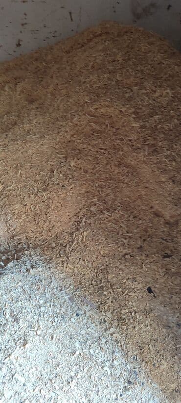 услуги базальтовый утепление цена бишкек: Продаю опилки.самовывоз. мешок 100 сом.опилки смесь сосны и карагача — 6