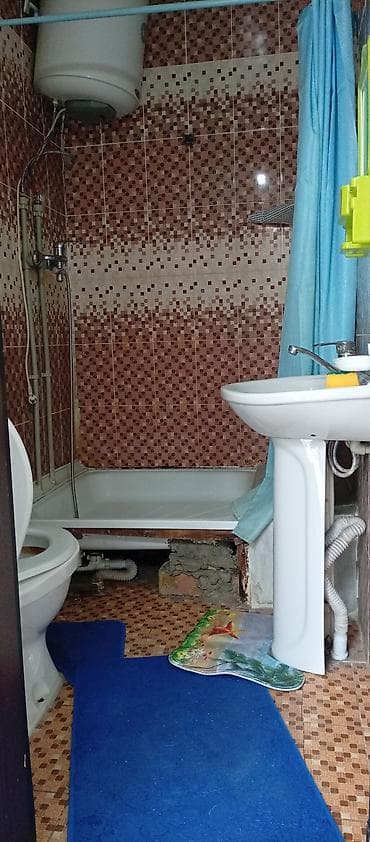 сары сабиз: 1 бөлмө, Менчик ээси, Чогуу жашоосу жок, Эмерексиз — 5