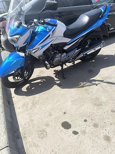 мотоцикл сузуки 250 кубов: Классический мотоцикл Suzuki, 250 куб. см, Бензин, Взрослый — 9
