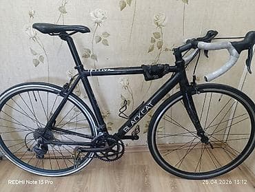 Спорт и хобби: Шоссейный велосипед, Рама M (156 - 178 см), Новый — 2