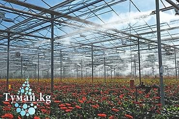 мицелий грибы: 🌿 Туман.кг - Охлаждение и увлажнение для теплиц и грибниц — Tuman.kg 🌿 — 1