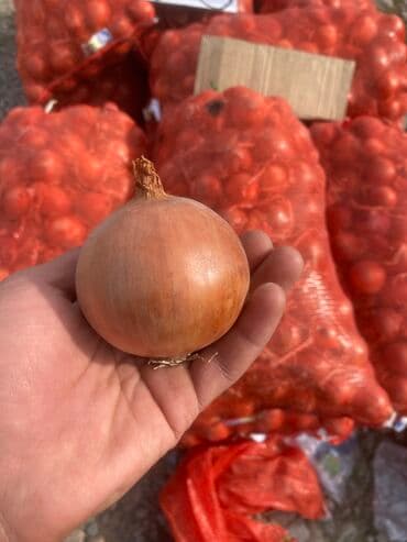 тележка для дома и дачи: Пияз Чекене, Акысыз жеткирүү — 2