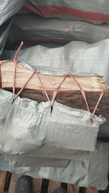 активированный уголь волнистому попугаю: Дрова — 2