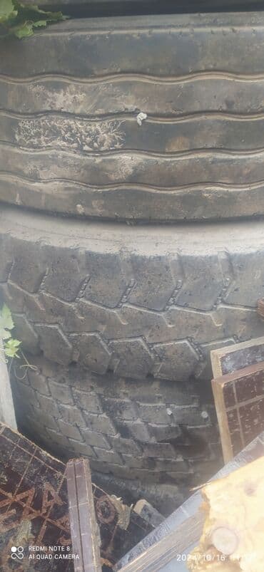 низкопрофильные шины: Шины — 2